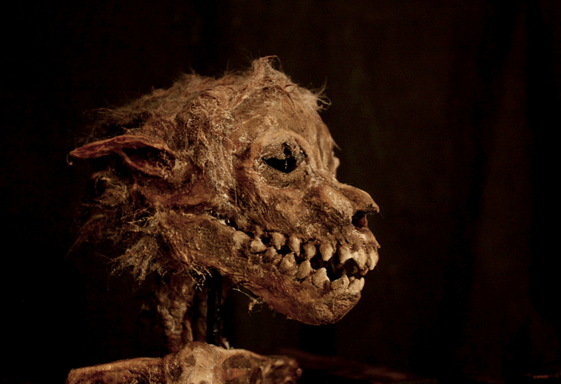 В подвале старого лондонского особняка нашли тела странных существ