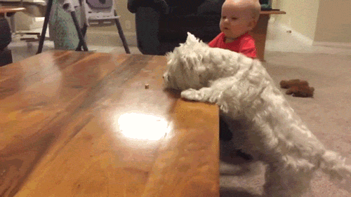 "Ты сможешь!"