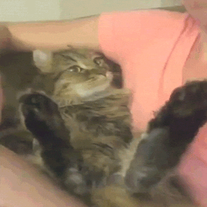 "Ну, гладь же меня" "Ну, гладь же меня"