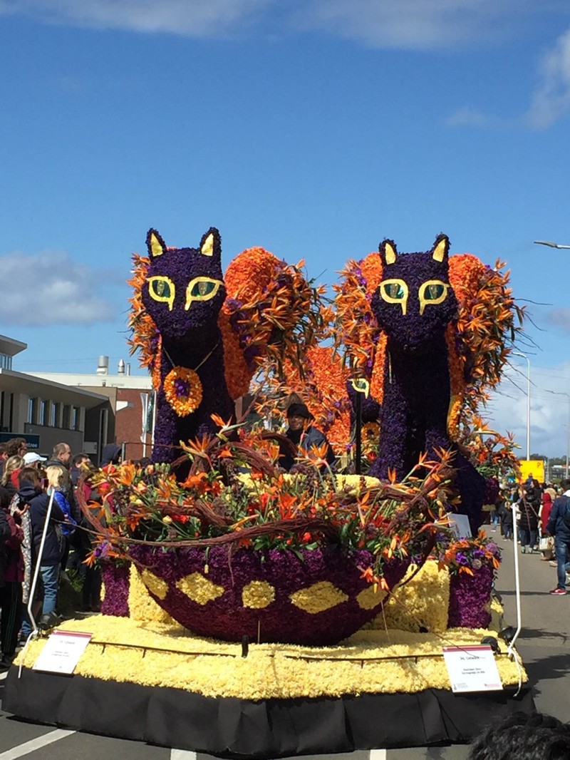 Лучшие фото с парада цветов в Голландии, город Сасенхейм