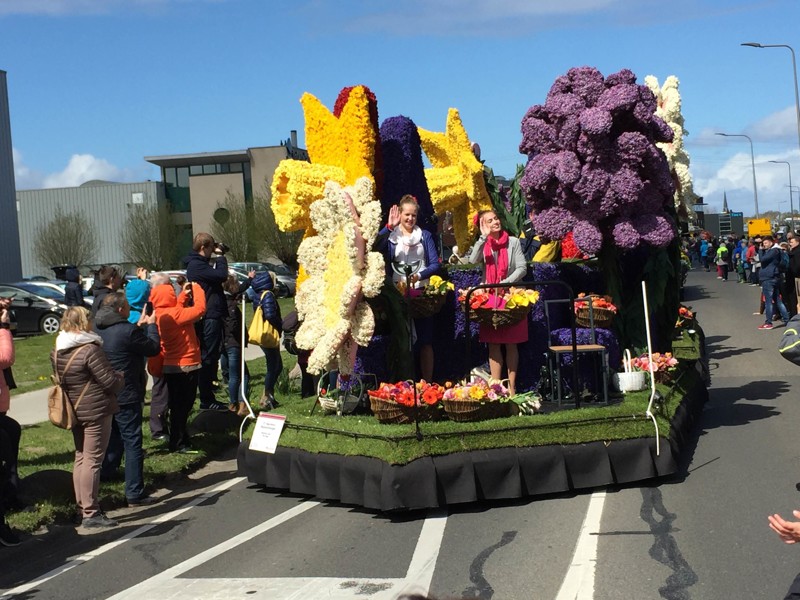 Лучшие фото с парада цветов в Голландии, город Сасенхейм