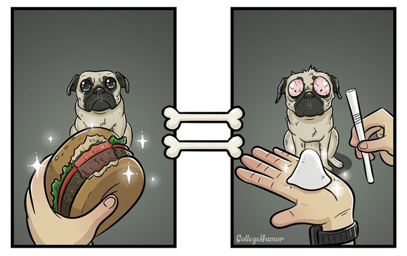 7 иллюстраций, которые демонстрируют, как собаки видят мир