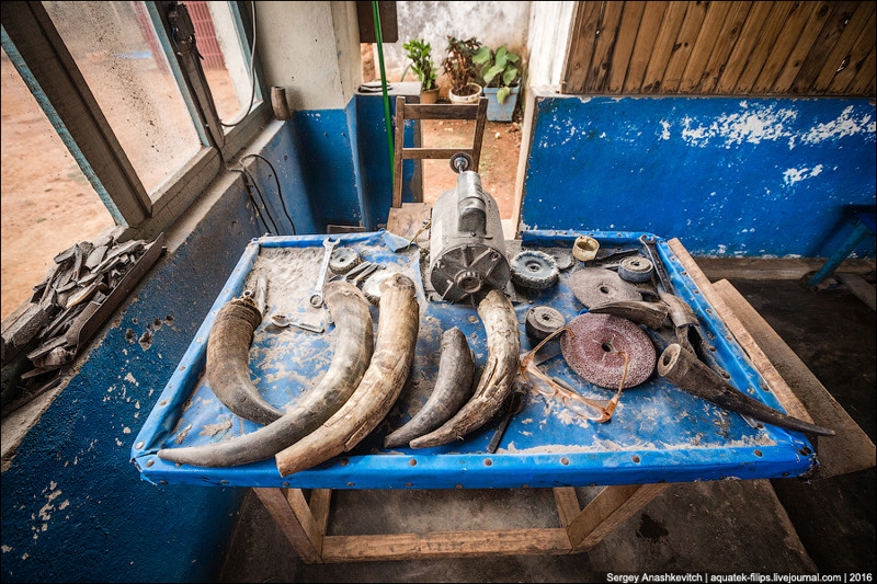 Как делают изделия из коровьих рогов на Мадагаскаре