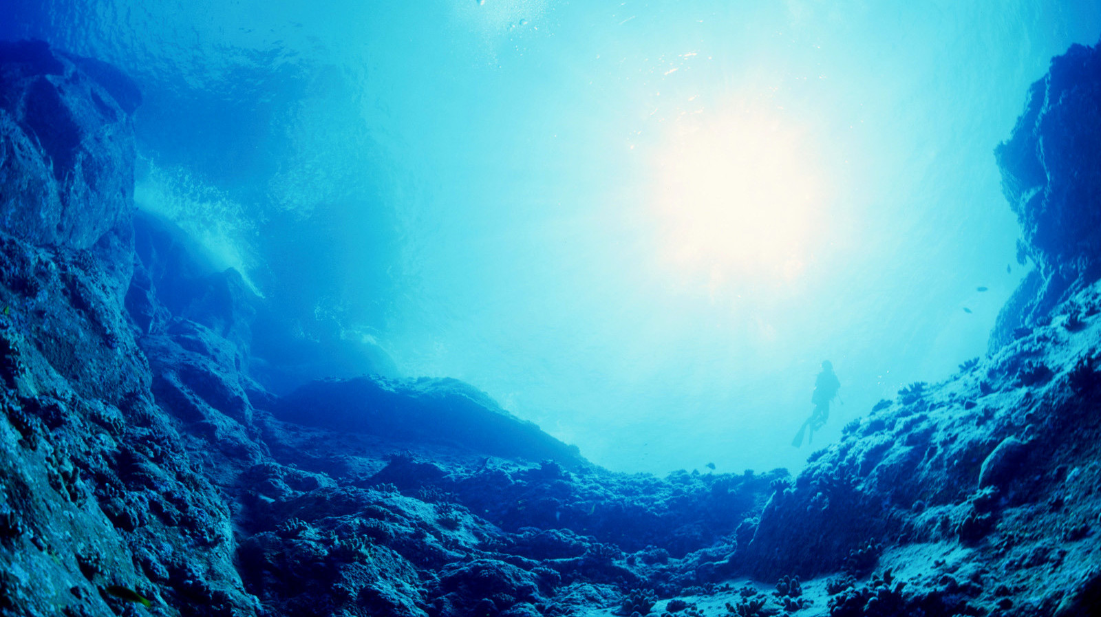 Фон океана под водой