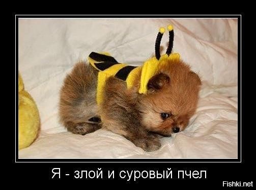 крутые мужики с пушками. человек в капюшоне с топором на плече. брутальный мужик с автоматом. страшный взгляд мужчины. взгляд злого человека.