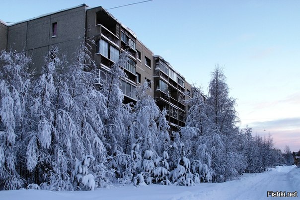 Зима в Карелии Костомукша