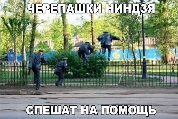 Минута смеха