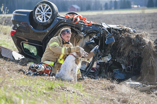7. Пожарный обнимает собаку после автокатастрофы животные, пожарные, пожары