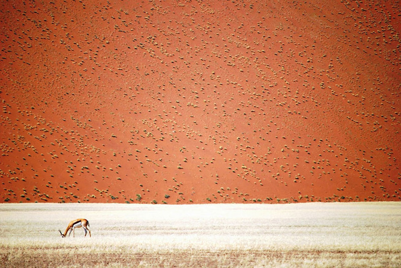 5. Намибийская пустыня, Намибия