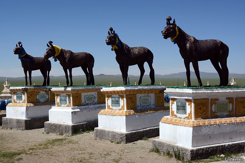Арвайхээр. Арвайхээр Монголия город. Кладбище лошадей в Монголии. Баянхонгор (город). Арвайхээр конь.