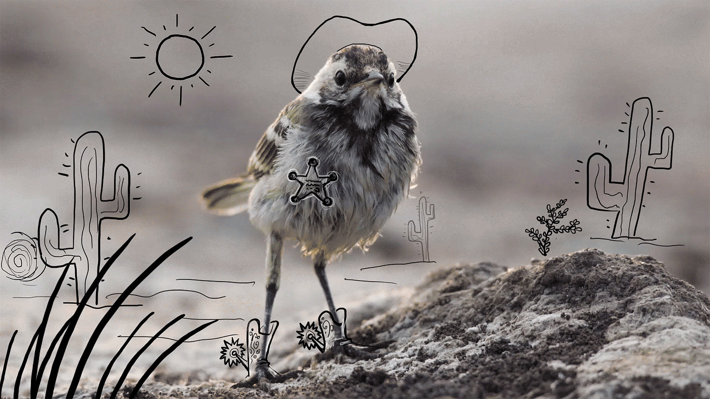Проект Be Birds: фотограф и художник объединили свои таланты и создают забавные изображения птиц