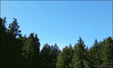 Хорошую рыбу поймал