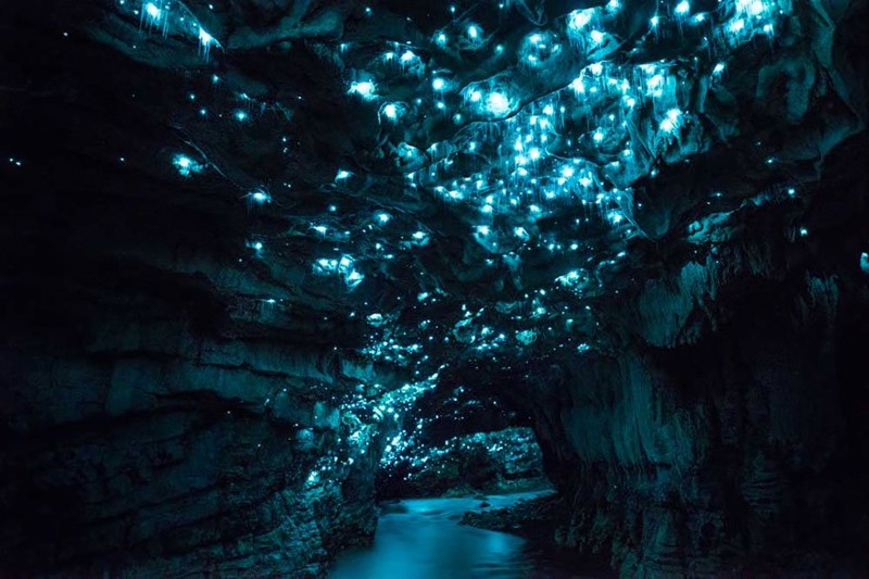 Светящиеся пещеры Вайтомо (Новая Зеландия)