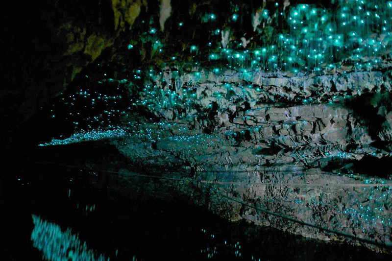 Светящиеся пещеры Вайтомо (Новая Зеландия)