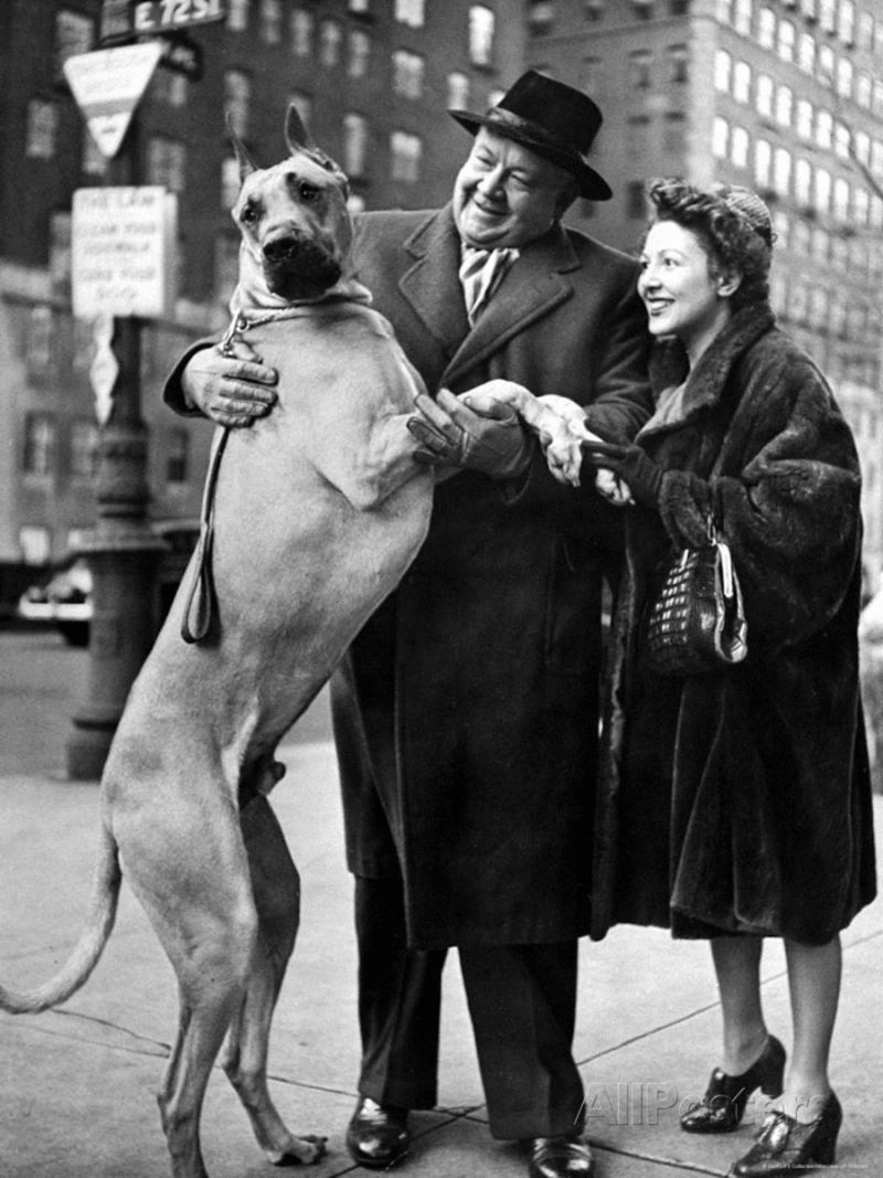 Черчилль с собакой