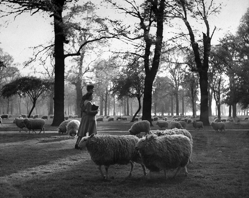 21. Влюбленные в Кенсингтонских садах, Лондон, 1945 год