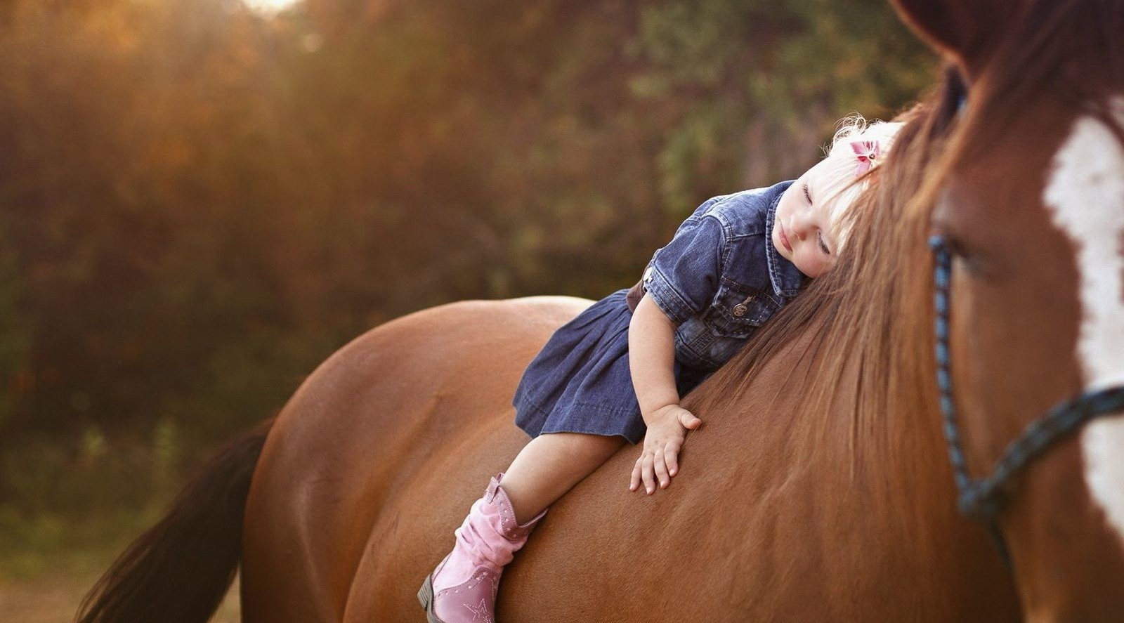 №4: Лошади как эмоциональная терапия при аутизме