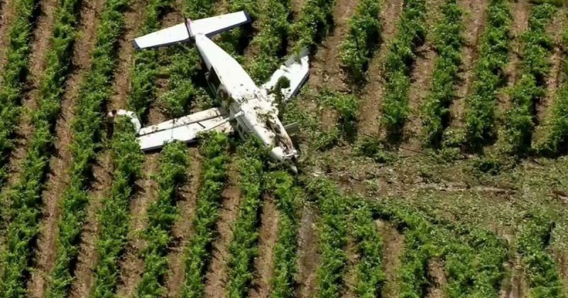 Пассажиры чудом выжили при падении самолета в виноградник
