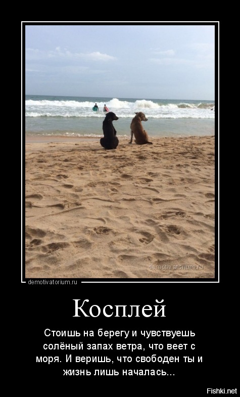 Достучаться до небес. Достучаться до небес на берегу. Стоишь на берегу и чувствуешь соленый. Стоишь на берегу и чувствуешь соленый запах ветра. И веришь ты что жизнь лишь началась. Достучаться до небес. Достучаться до небес на берегу. Стоишь на берегу и чувствуешь соленый. Стоишь на берегу и чувствуешь соленый запах ветра.