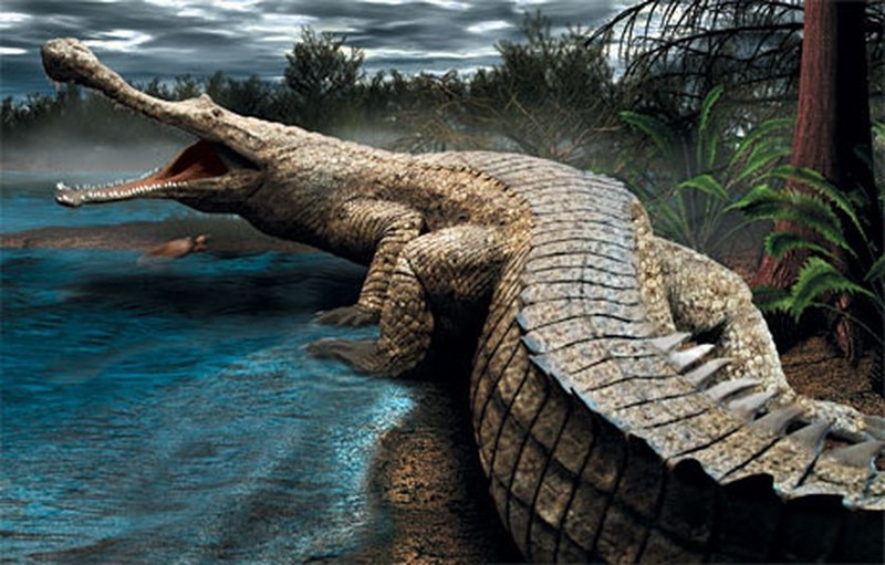 Sarcosuchus imperator - пожиратель динозавров
