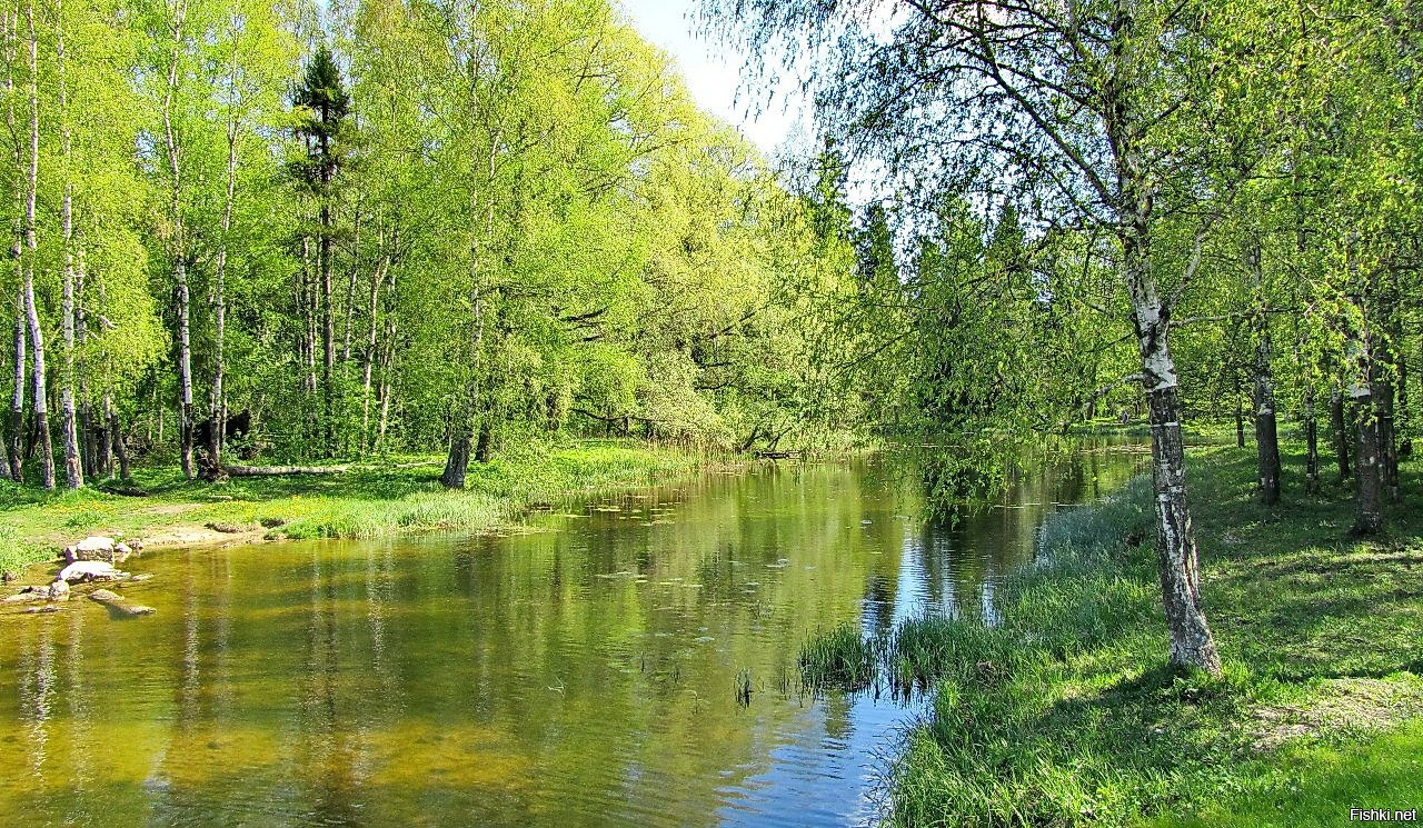 Фото весны в россии