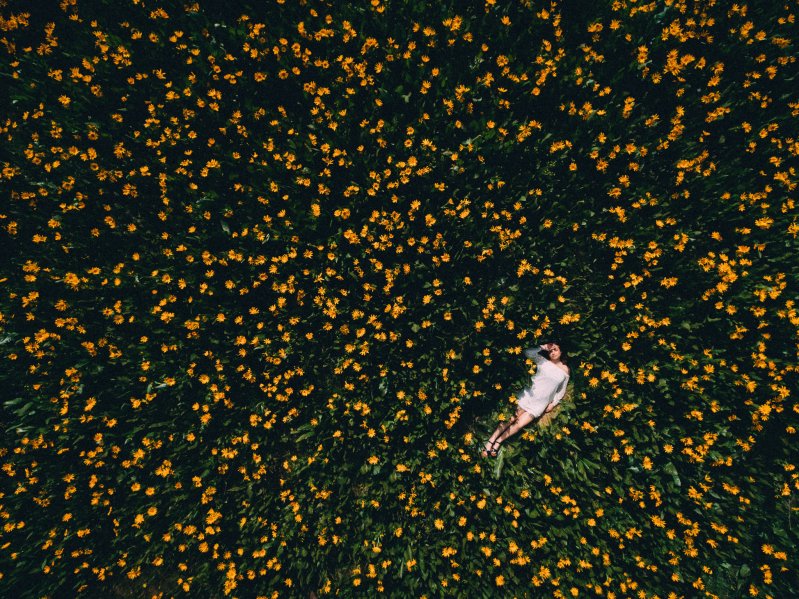 Девушка в цветочном поле 