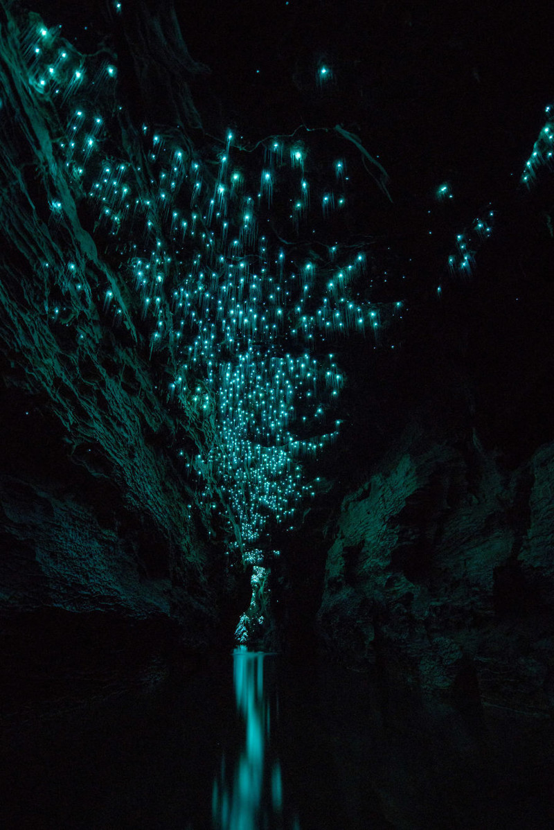 Пещера светлячков, Вайтомо (Waitomo), новая Зеландия