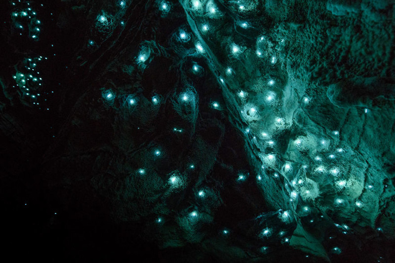 Пещеры Вайтомо - звездное небо из светлячков