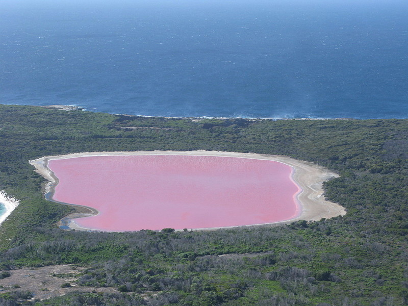 Озеро Хильер розового цвета