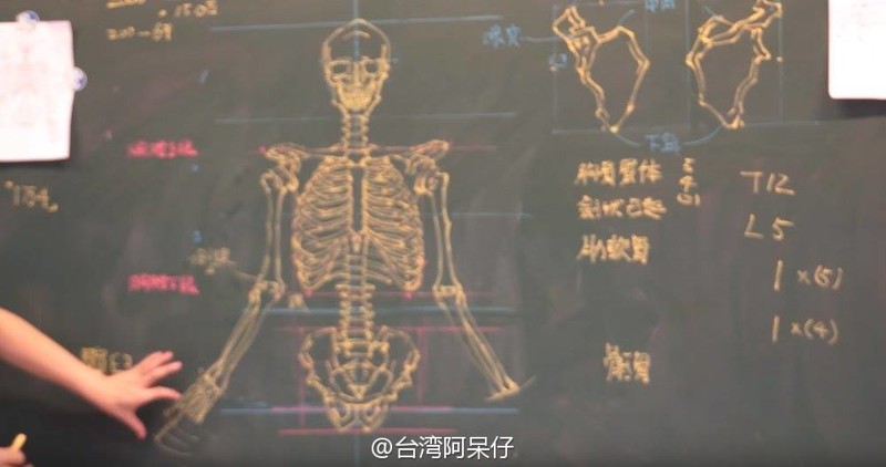 Как преподают человеческую анатомию в Китае