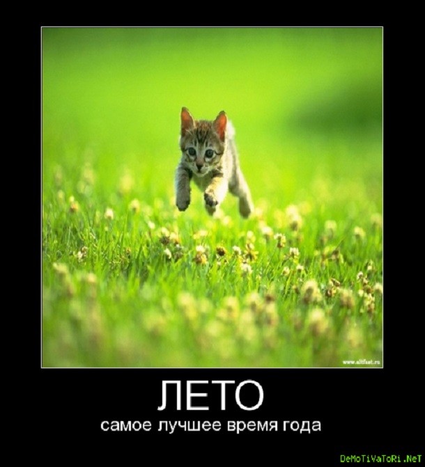 Демотиватор Лето