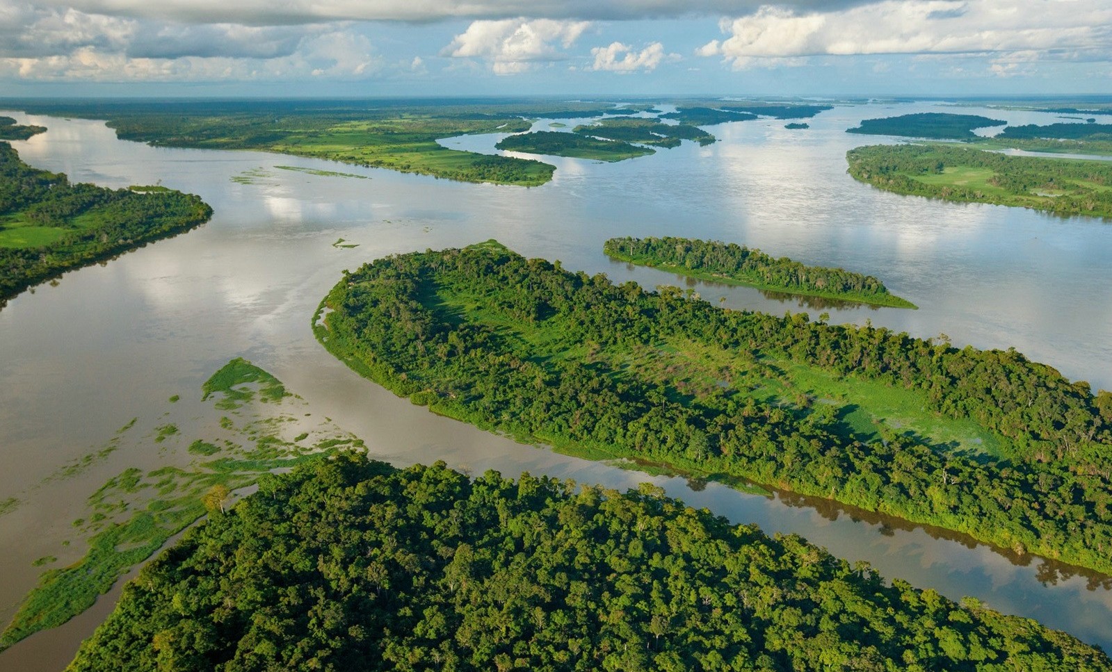 №5: Бассейн реки Конго
