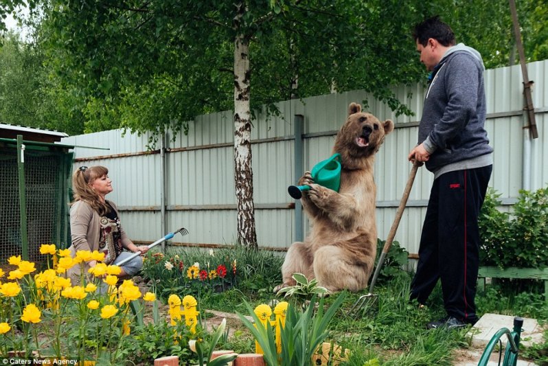 Нужна помощь? Степан с удовольствием польет цветы в саду