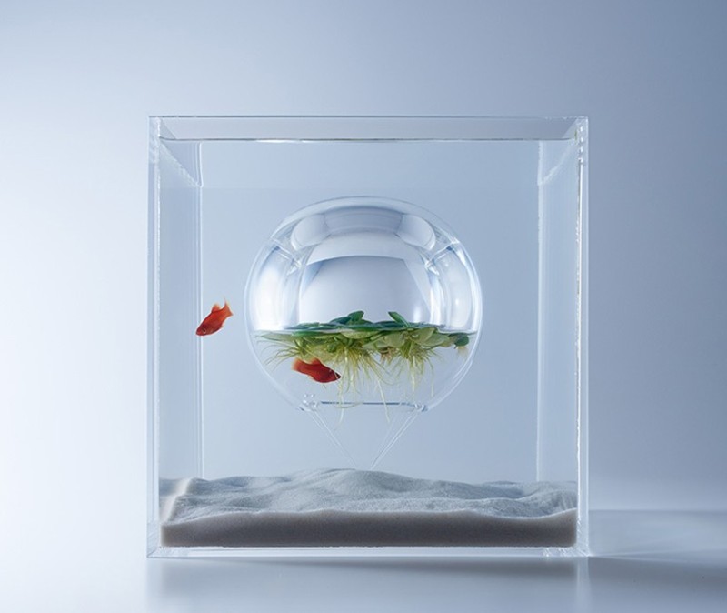 Конструкции для аквариума Haruka Misawa