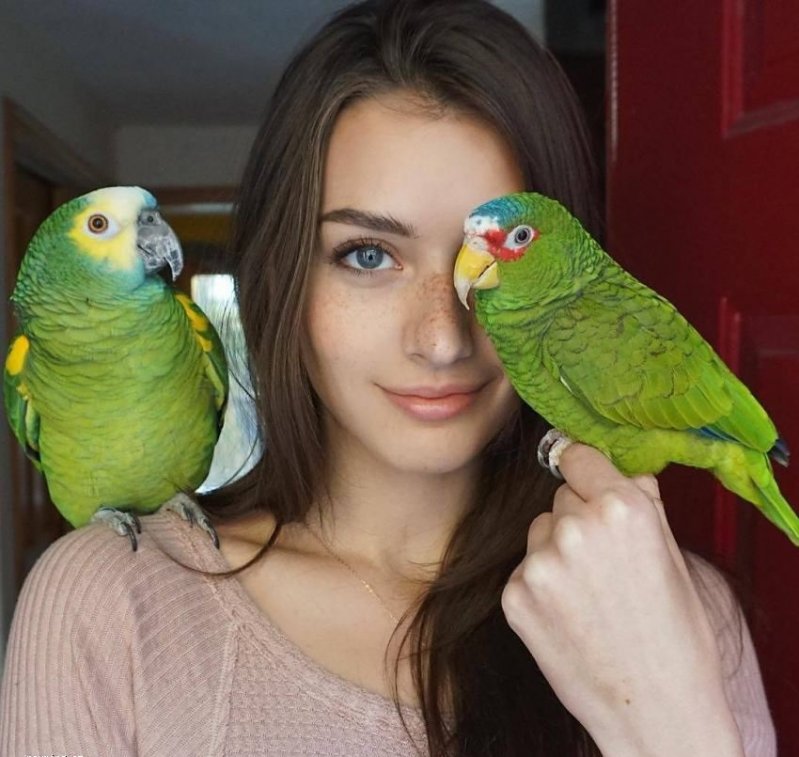 Девушка с попугаями 
