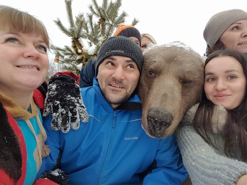  Домашний медведь Степан из Москвы