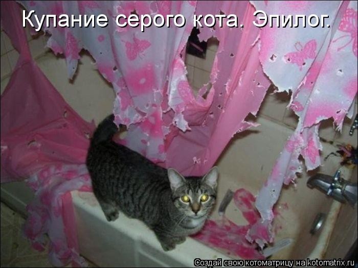 Купание кота как боевое искусство