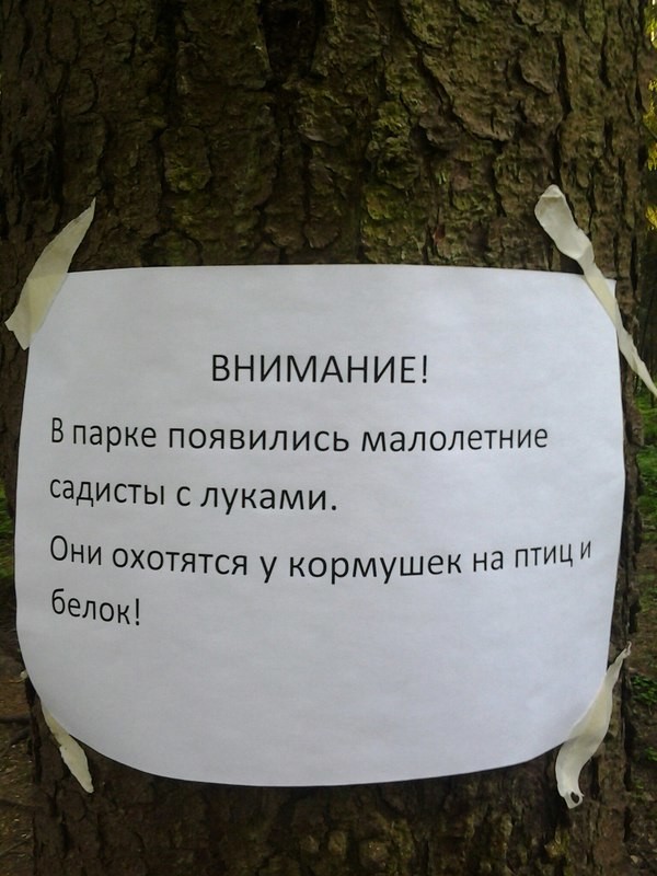 Юмор к вечеру понедельника