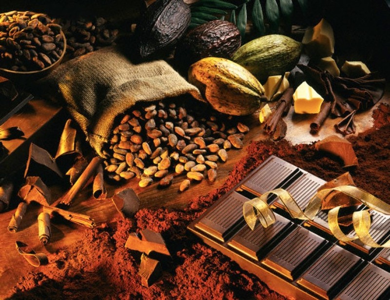 Четыре особенности какао