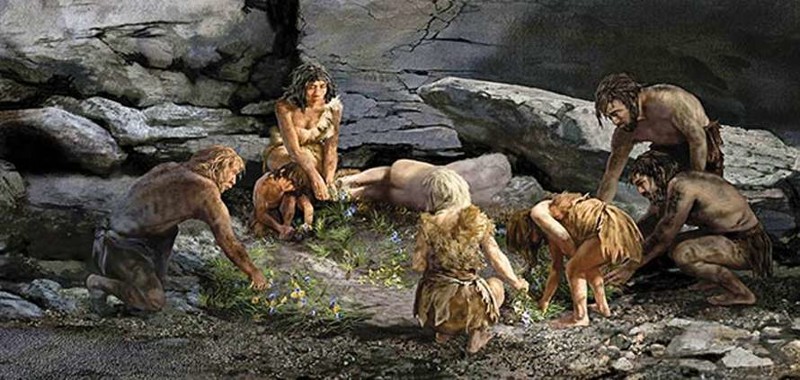 10. Цветы на могиле неандертальца... отменяются.