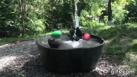 Спа для мишки