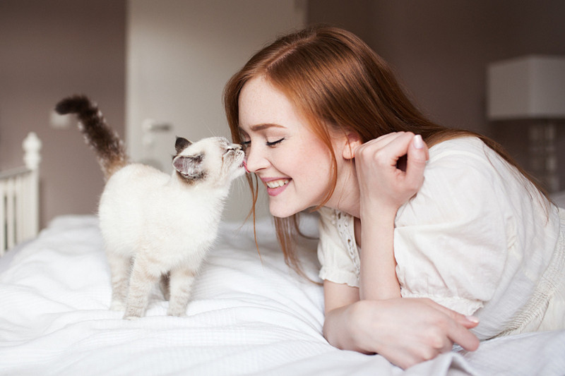 Классные фотографии любительниц кошек со своими питомцами