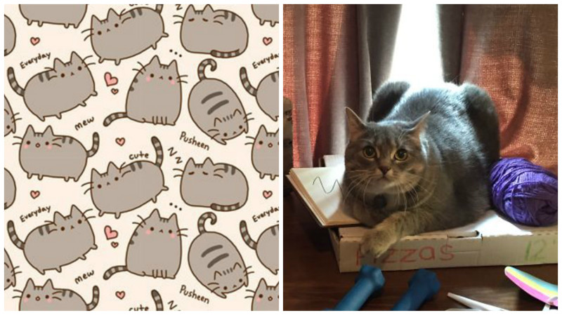 Жирный кот в роли интернет-мема Пушина