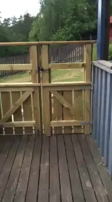 Вижу цель, не вижу препятствий