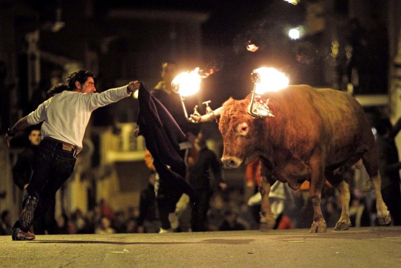 Забег быков в Испании