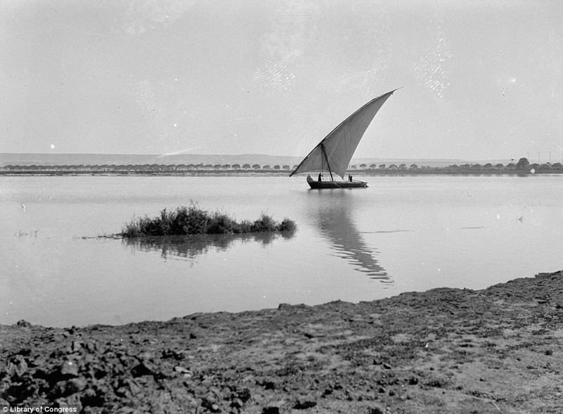 Атмосфера стремительно меняющегося Каира в 1900 – 1936 годах