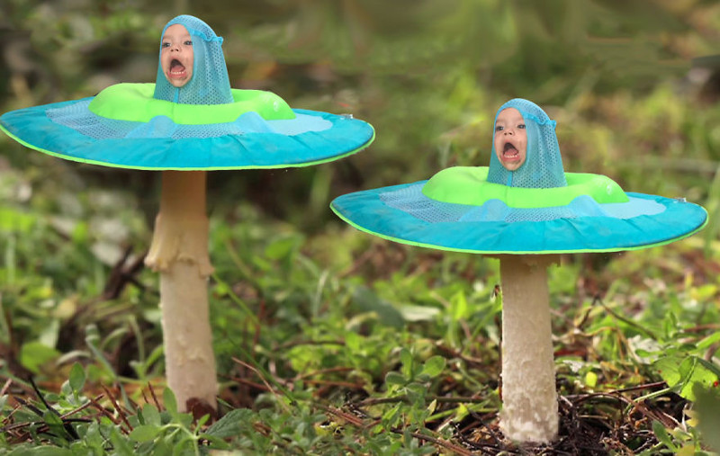 Мы - веселые грибочки