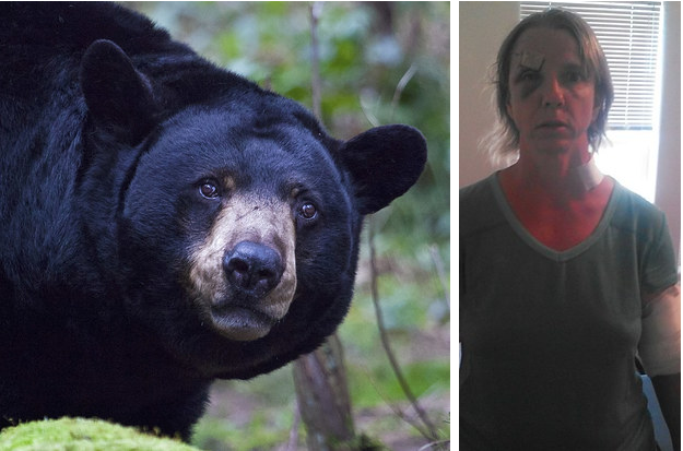 Медведь похож на женщину. Женщина на которую напал медведь.