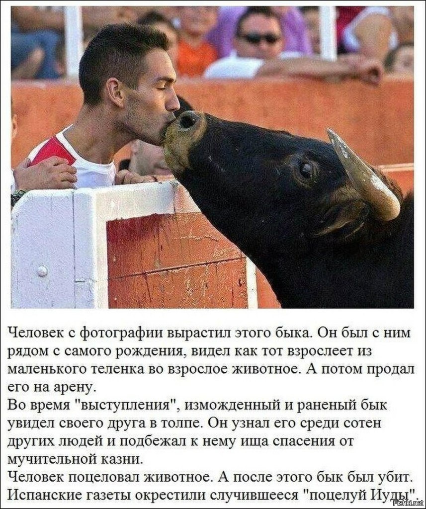 Кто нарисовал поцелуй иуды