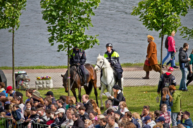 полицейские кони тоже хотели поучаствовать, но они были при исполнении